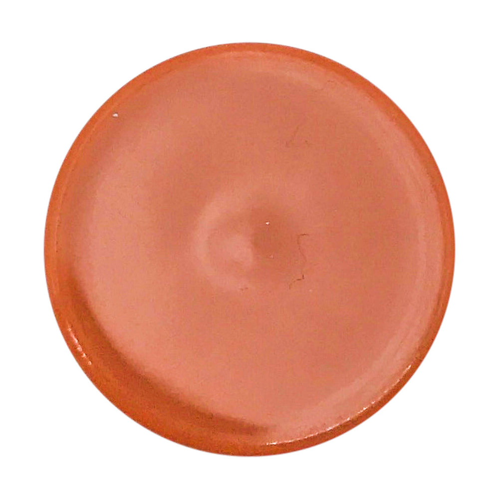 Burt's Bees Salted Caramel Lip Balm swatch on lips with subtle caramel scent