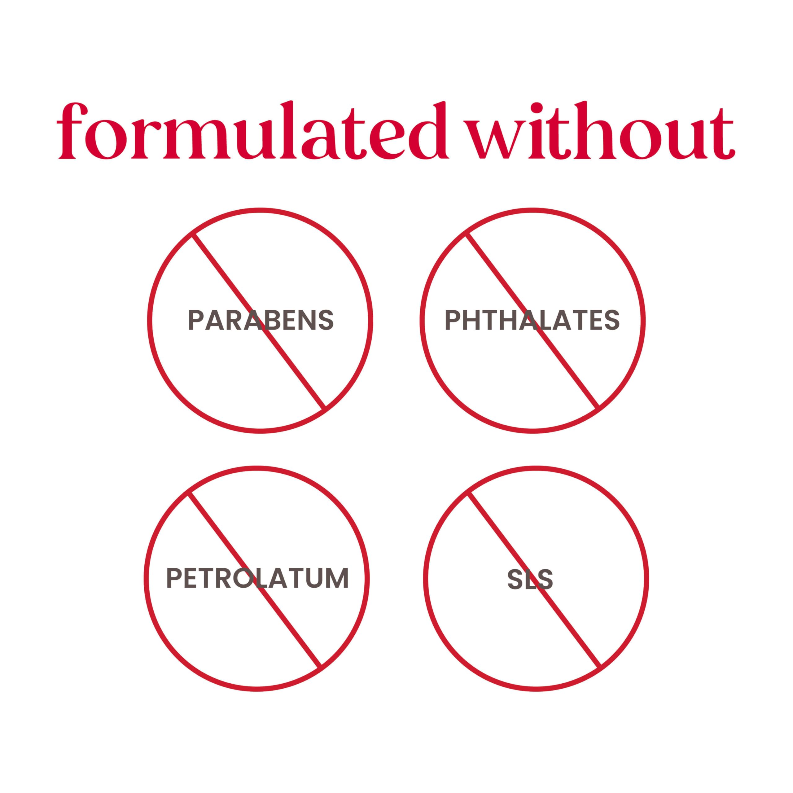 Travel-friendly Burt's Bees lip balm pack fits purses and pockets.