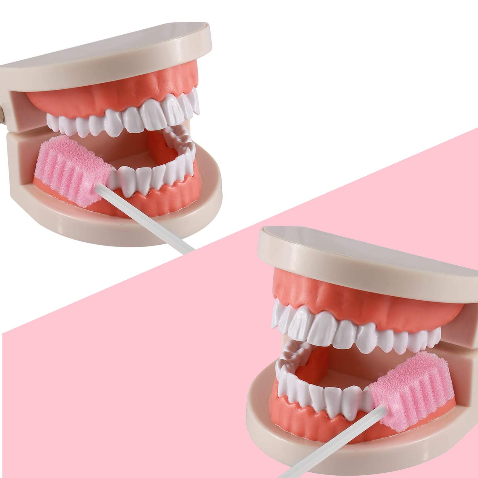 Ridge-design BVN mouth swabs enable efficient cleaning of teeth and gums.