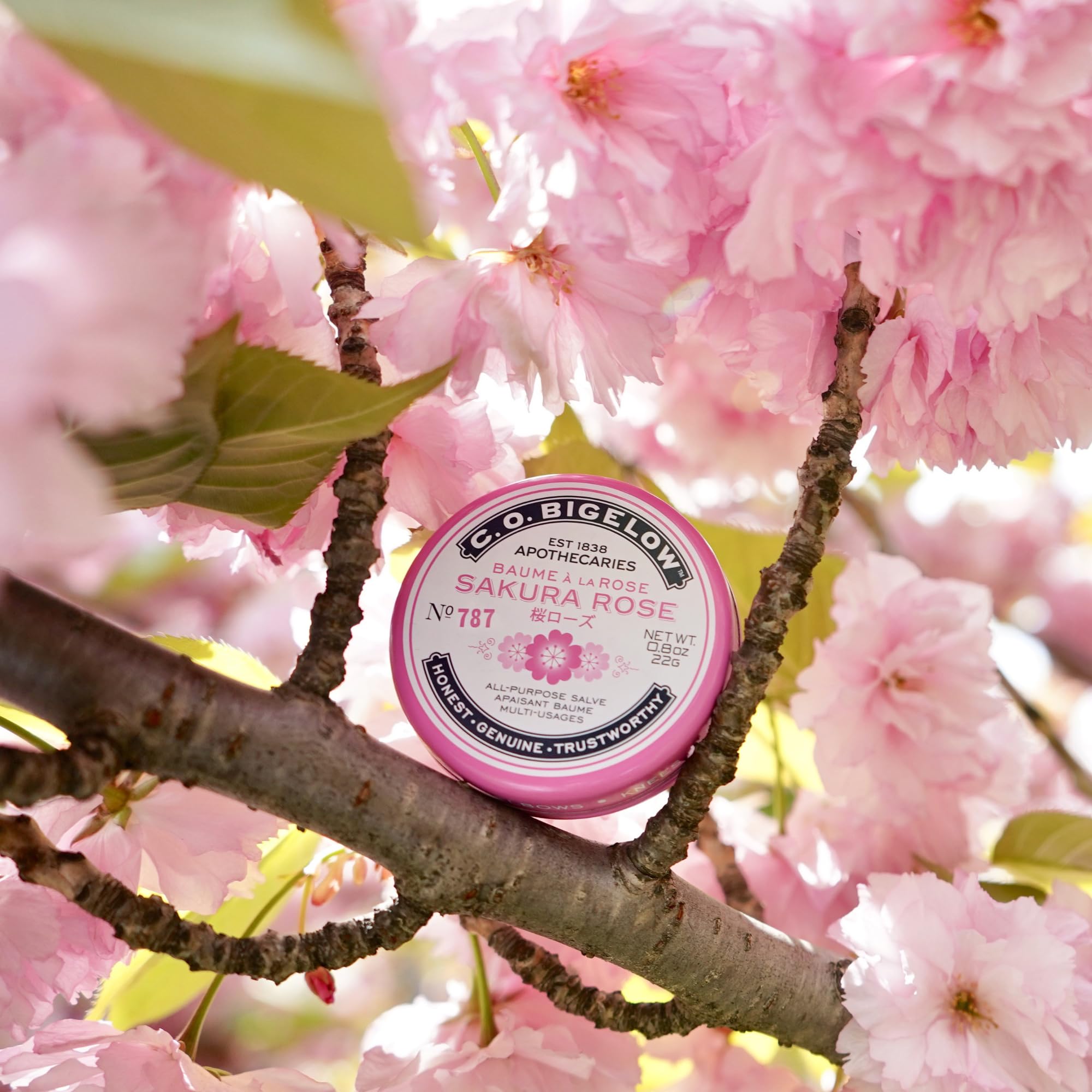 C.O. Bigelow Sakura Rose Salve Tin soothes dry knees and rough skin.