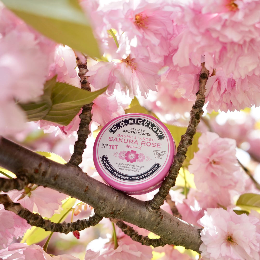 C.O. Bigelow Sakura Rose Salve Tin soothes dry knees and rough skin.