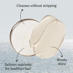 California Naturals Coconut Conditioner bottle front for hair softness