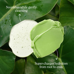 Profile emphasizes aloe and avocado oil for gentle cleansing and moisture