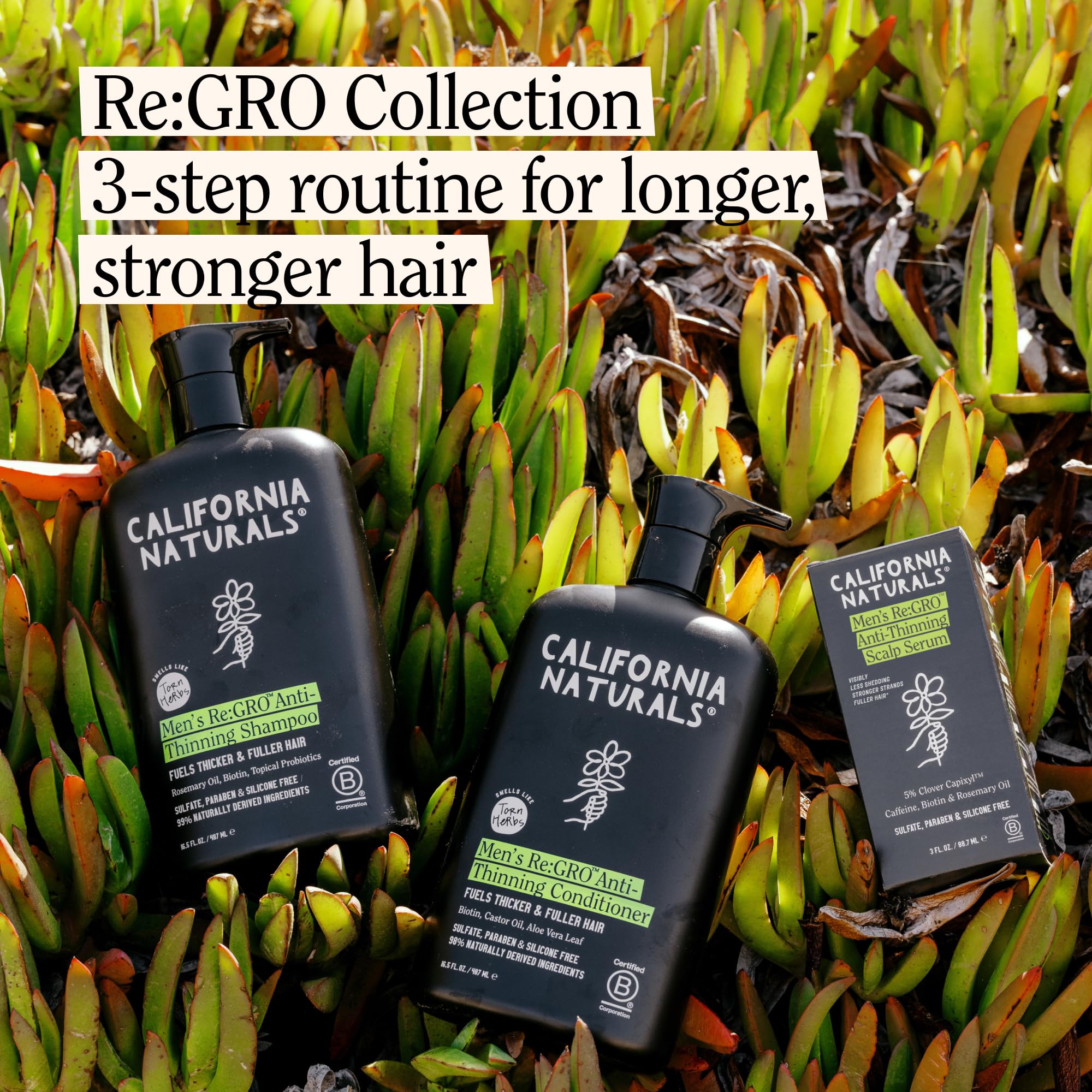 California Naturals Re:GRO scalp-care routine setup for balanced scalp health.