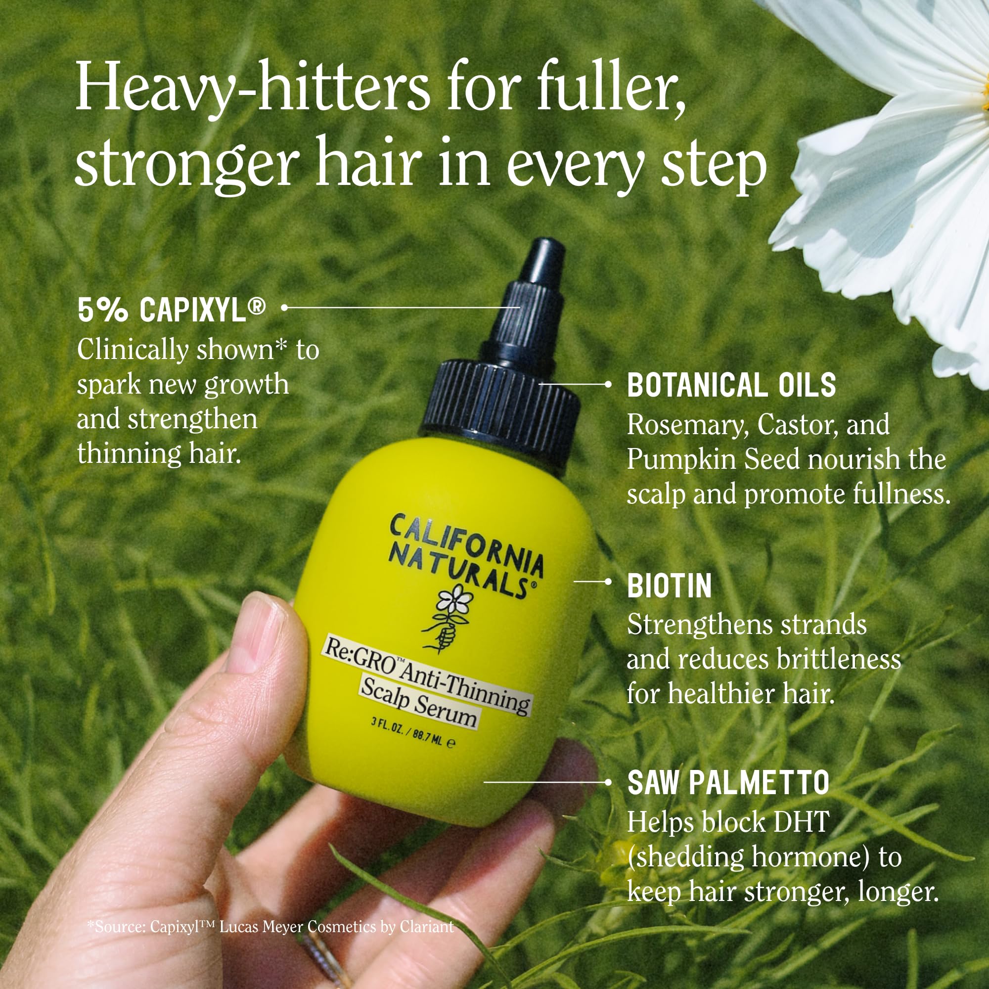 Roots lifted by California Naturals Re:GRO serum for a thicker appearance