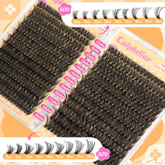 Calphdiar Lashes Clusters D-curly detail enhances eye fringe.