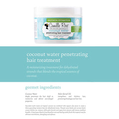 Applying Camille Rose treatment on wet hair for even root-to-tip distribution