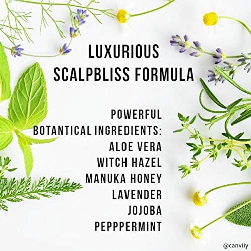 Canviiy ScalpBliss serum features witch hazel to calm irritation on sensitive scalps.