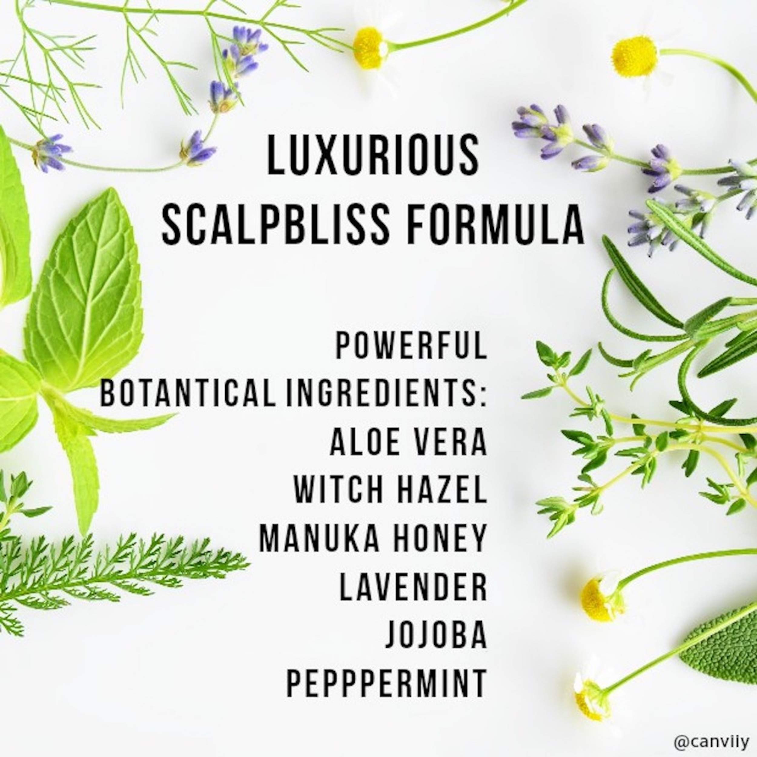 Canviiy ScalpBliss texture-closeup displays lightweight, non-greasy serum