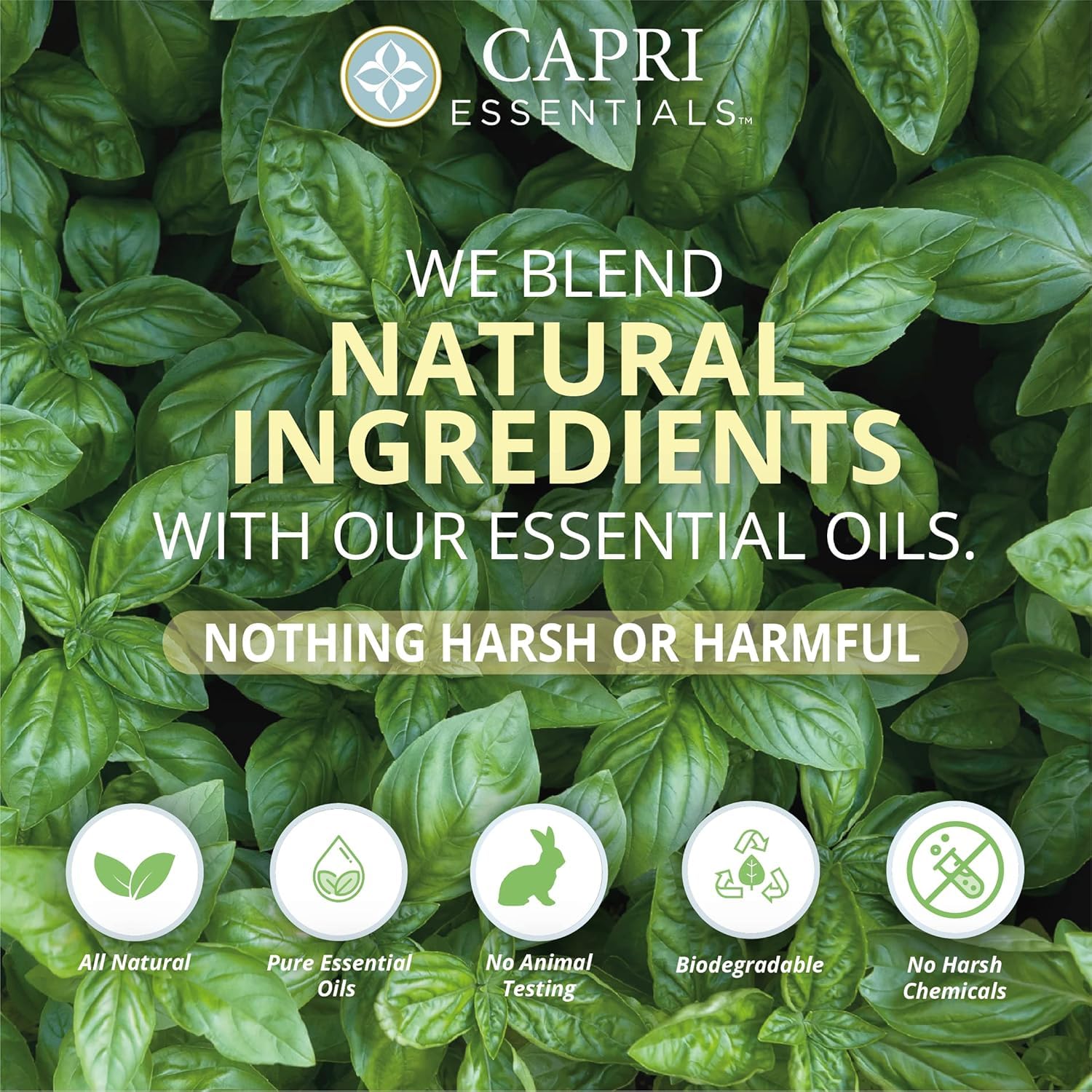 Capri Essentials hand soap liquid kitchen-dish-counter placement offers convenient sink-side care