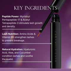Caramela Beauty Lash Serum applicator brush for precise upper lash line use