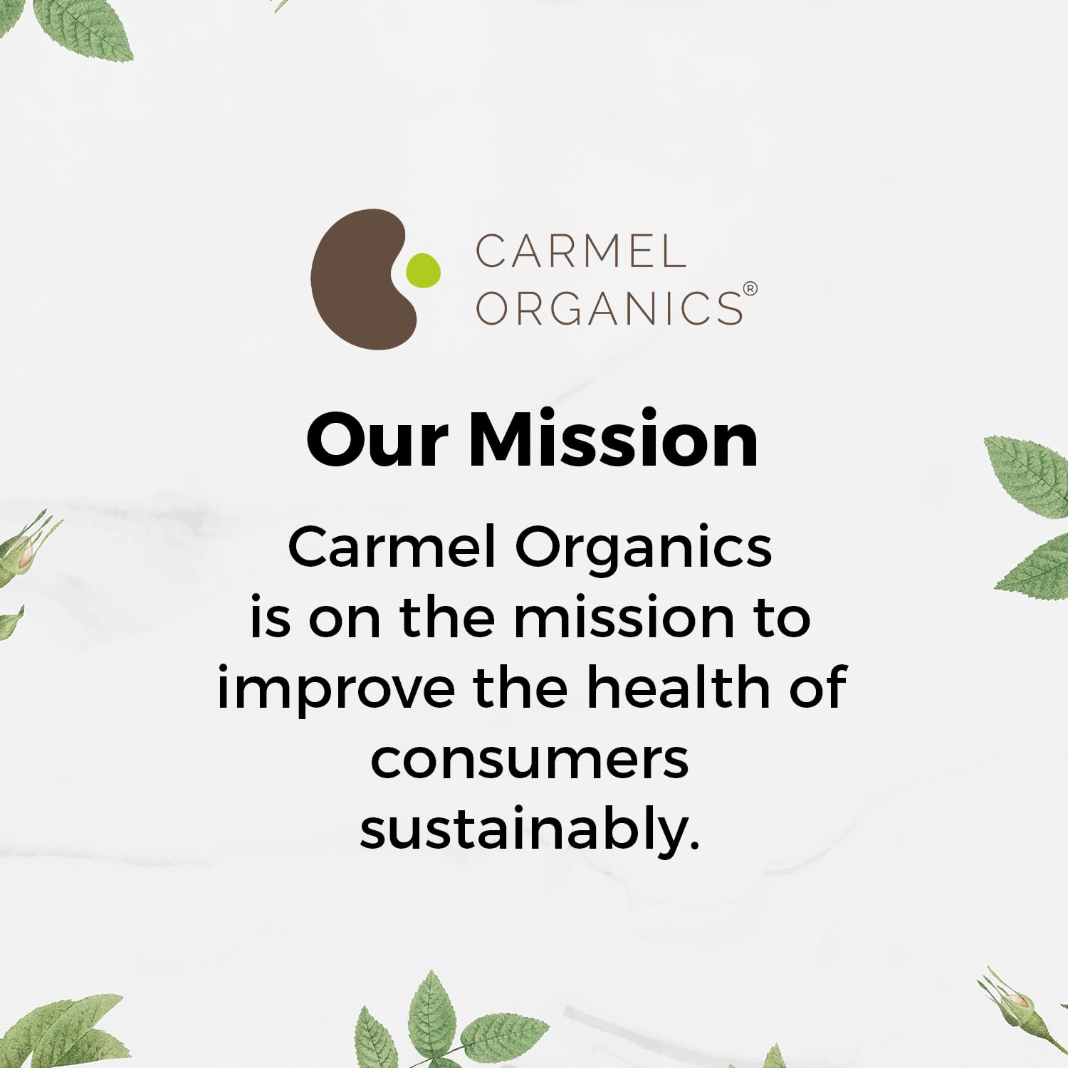 CARMEL ORGANICS Soapnut powder texture appears fine and natural.