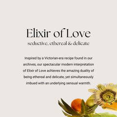 Caswell-Massey Elixir of Love jar closeup shows velvety, hydrating cream
