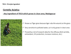 CENTELLIAN 24 TECA Tech dropper detail highlights precise, controlled application.