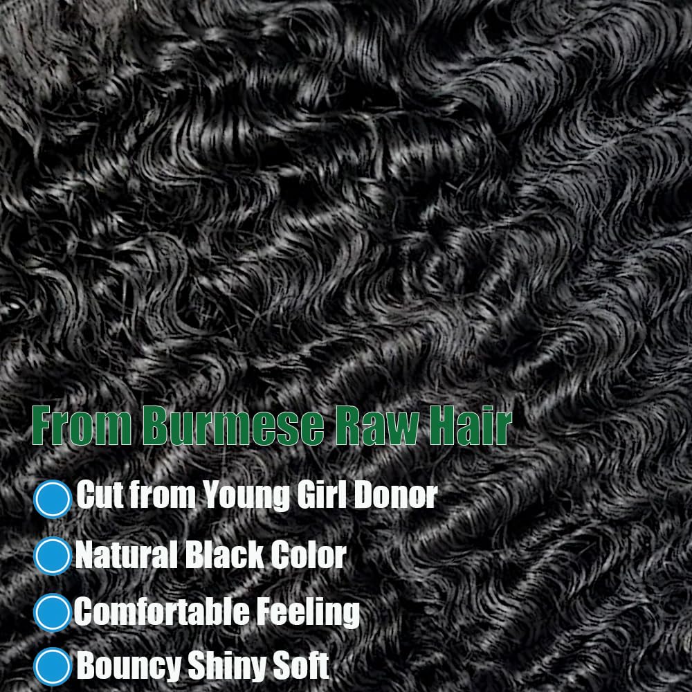 Ceoltay Burmese Curly Bundles 3C4A spiral end texture with bounce.