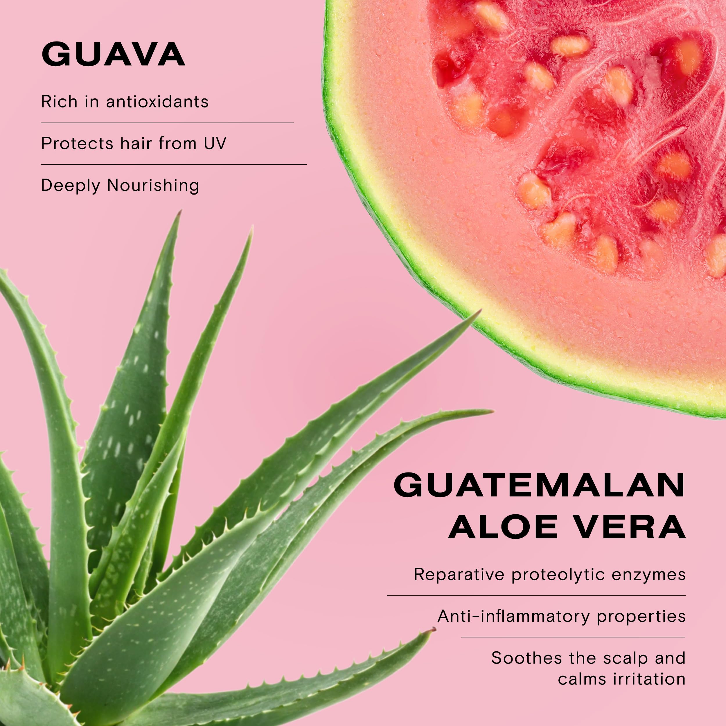 Ceremonia Guava leaf extract close-up highlighting nourishing botanicals.