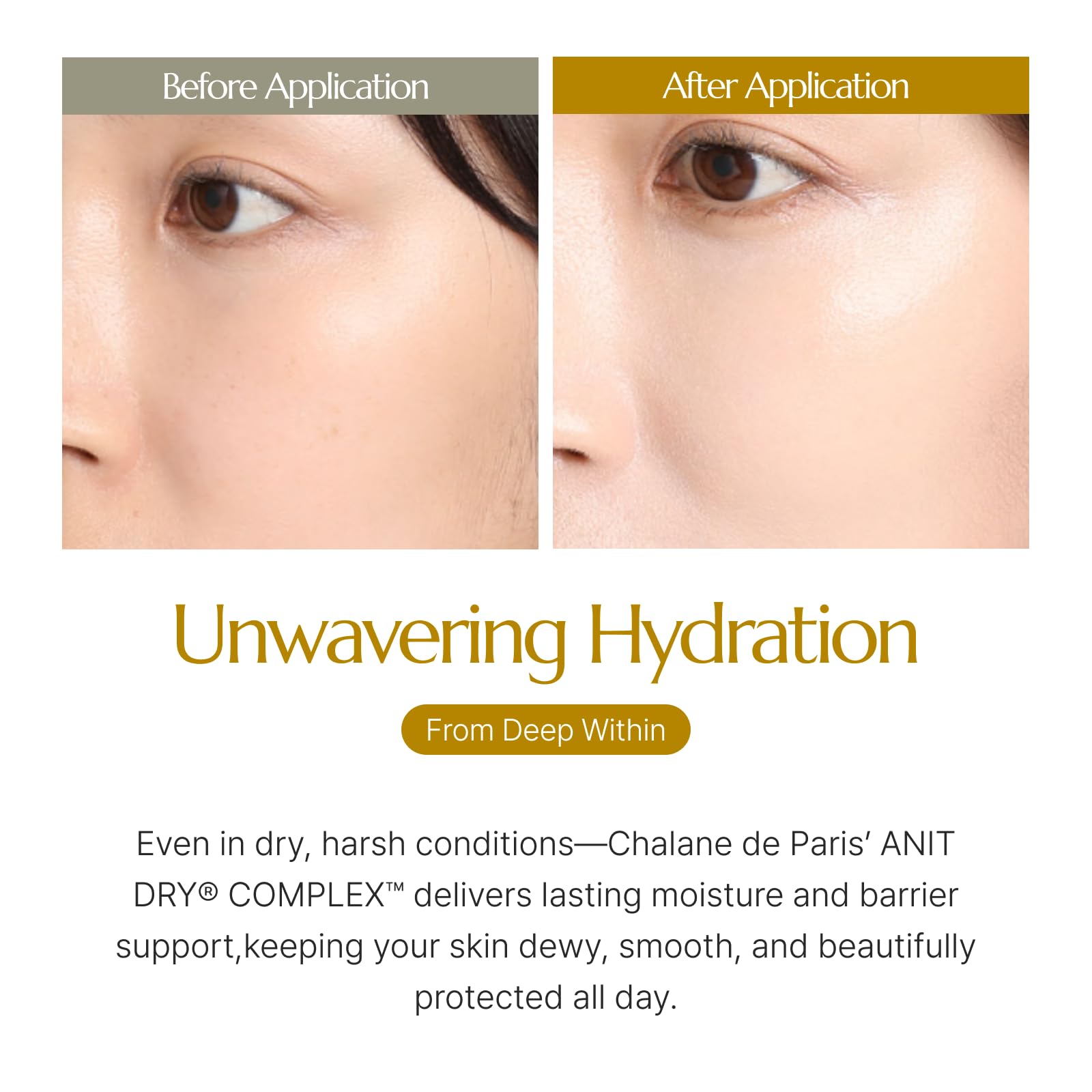 CHALLANS DE Aqua EX cushion enhances skin blend for natural finish.