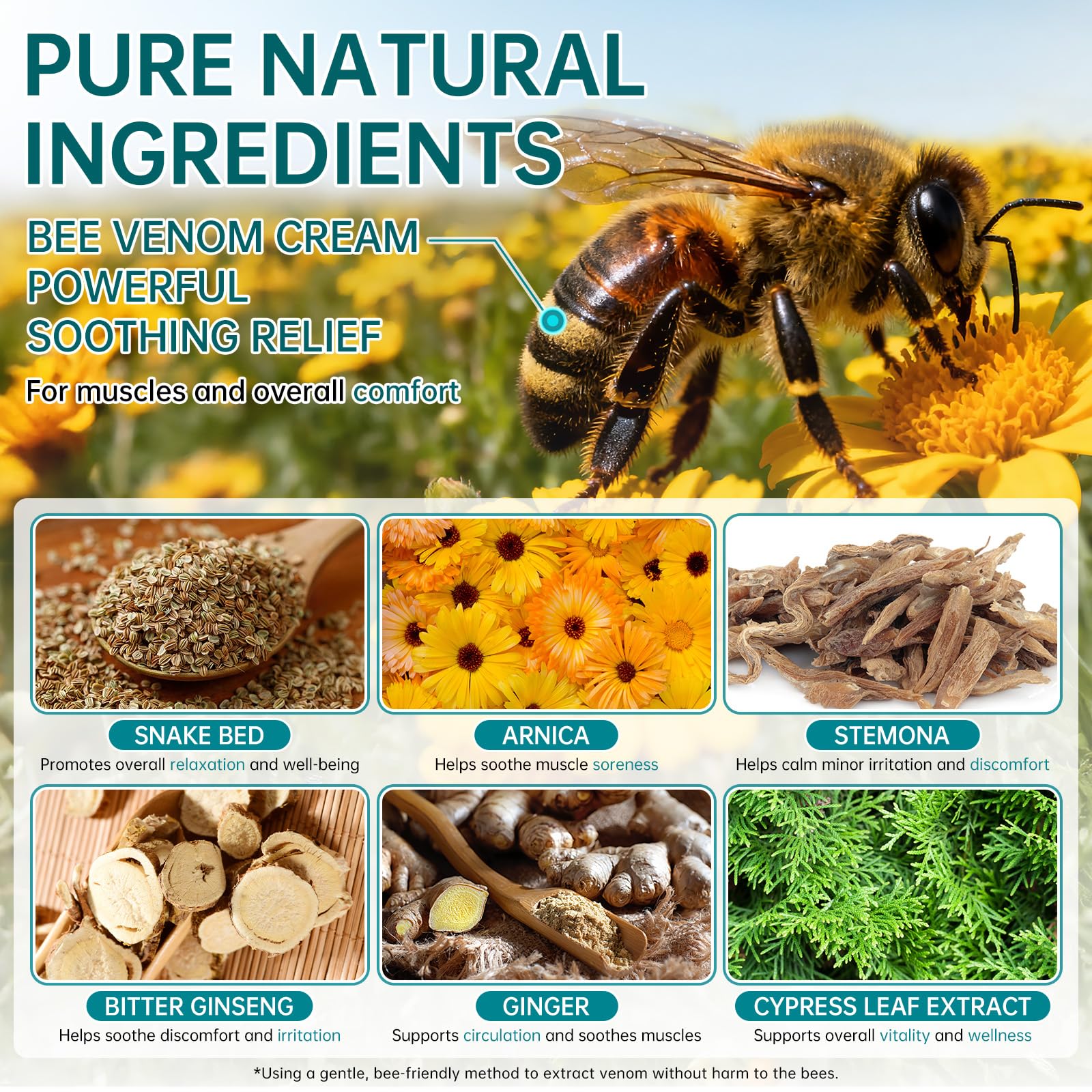 CHANGARLOAD Bee Venom Cream neck: gentle relief for stiffness.