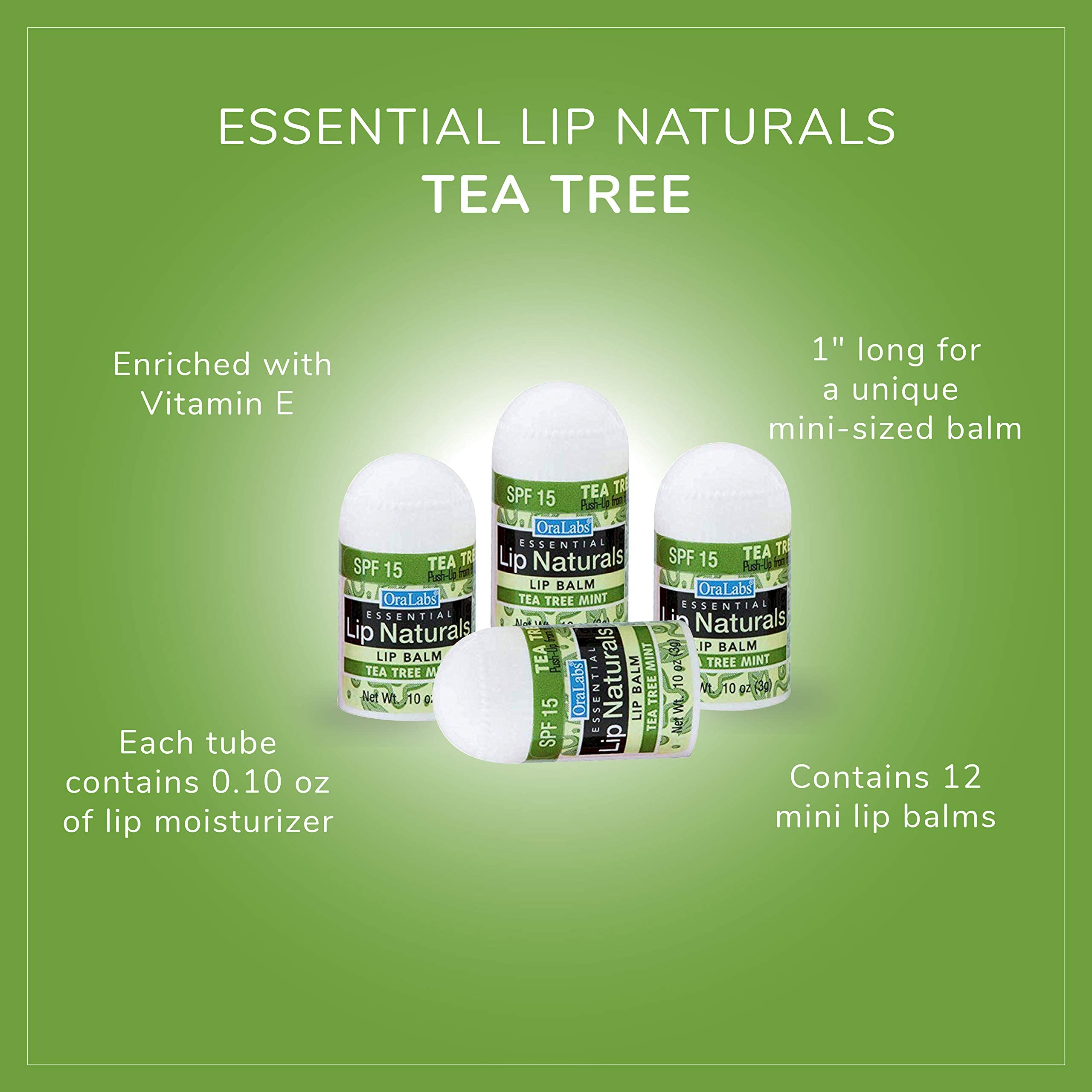 CHAP-ICE Lip Naturals coconut oil ingredient tube highlights nourishment.