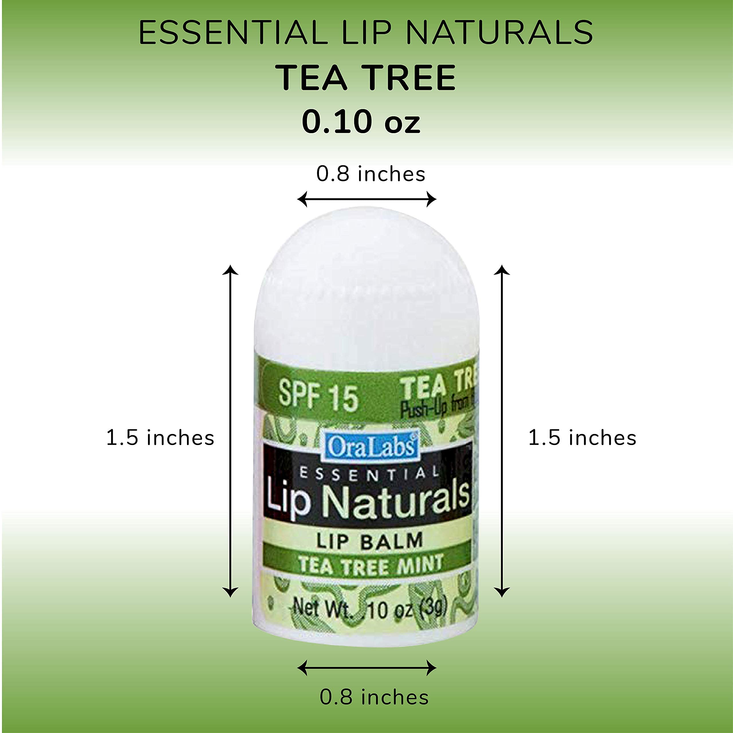 CHAP-ICE Lip Naturals tea tree mint flavor swatch shows refreshing scent.