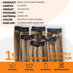 Charmele natural color blending balayage for subtle dimension.