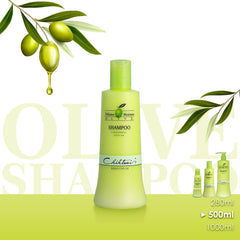 Chihtsai Volume Moisture Olive Shampoo lather demonstrating smoothing wash.