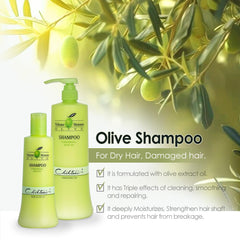 Chihtsai Volume Moisture Olive Shampoo olive oil droplets for moisture.