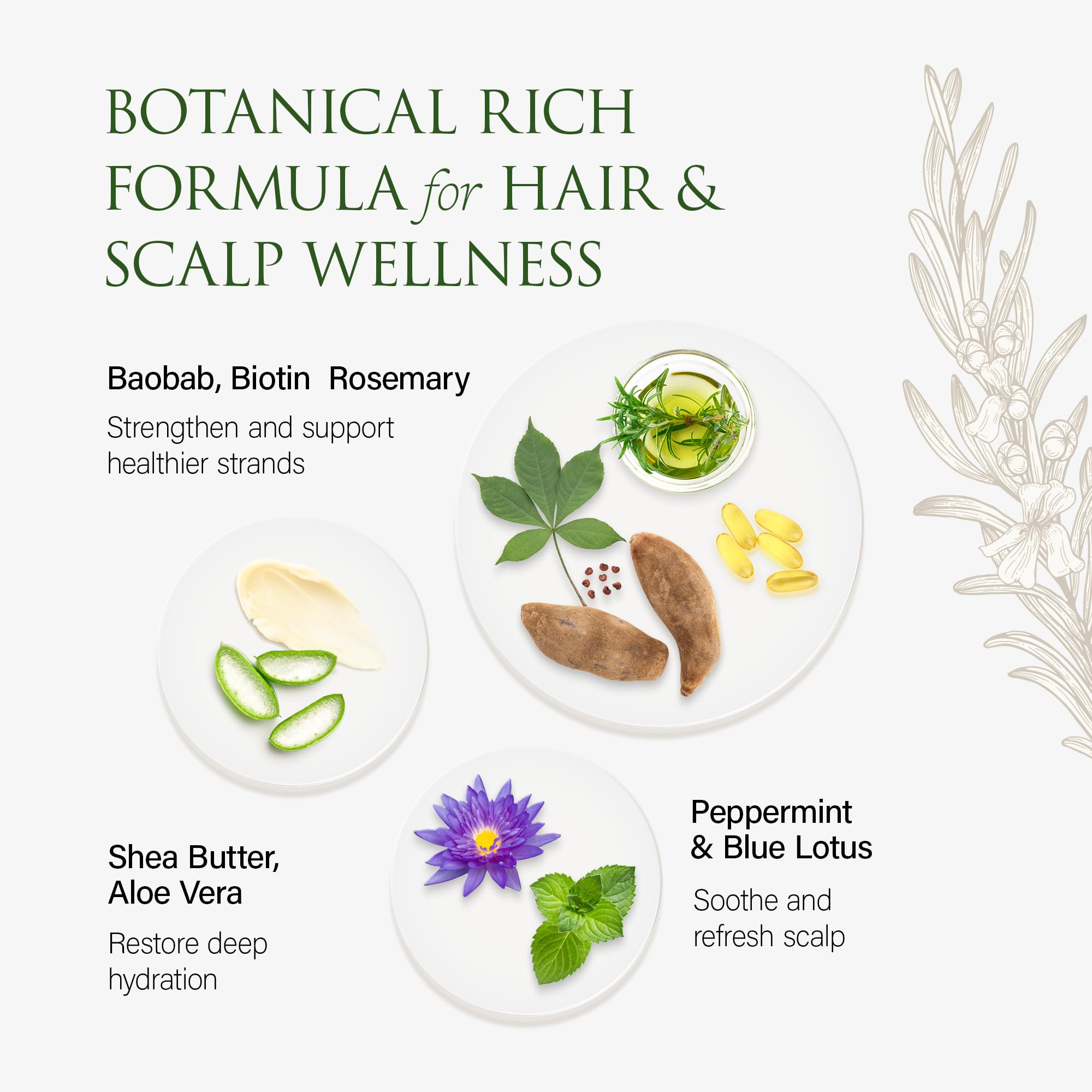 Christina Moss Naturals conditioner ingredients kelp blue lotus sage and aloe nourish strands