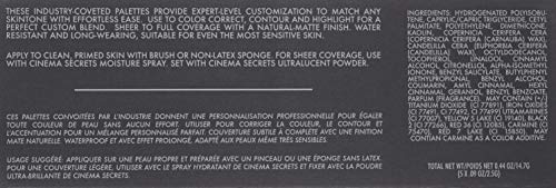 Cinema Secrets 5-in-1 palette application swatch for color correction and contour
