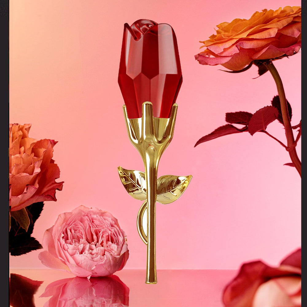 CLY AMS Scent layers show musk, honey, and red wine notes harmonizing.