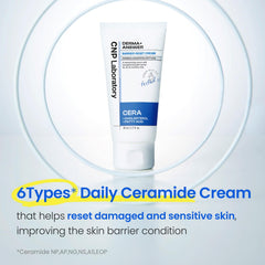 CNP Barrier Reset Cream ceramides visual emphasizing six ceramides for sensitive skin