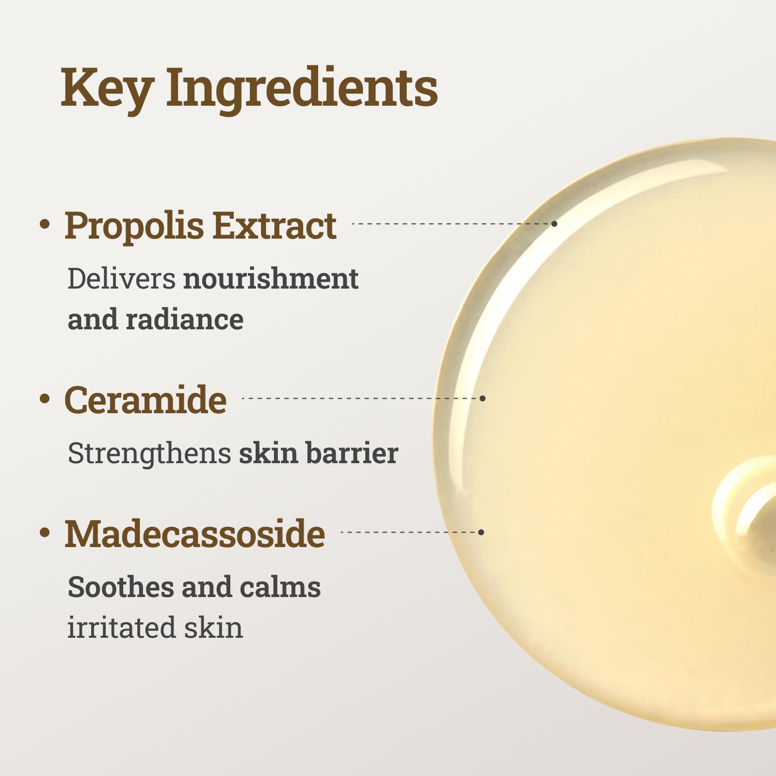 Ceramide-rich texture closeup suggests long-lasting hydration and barrier support