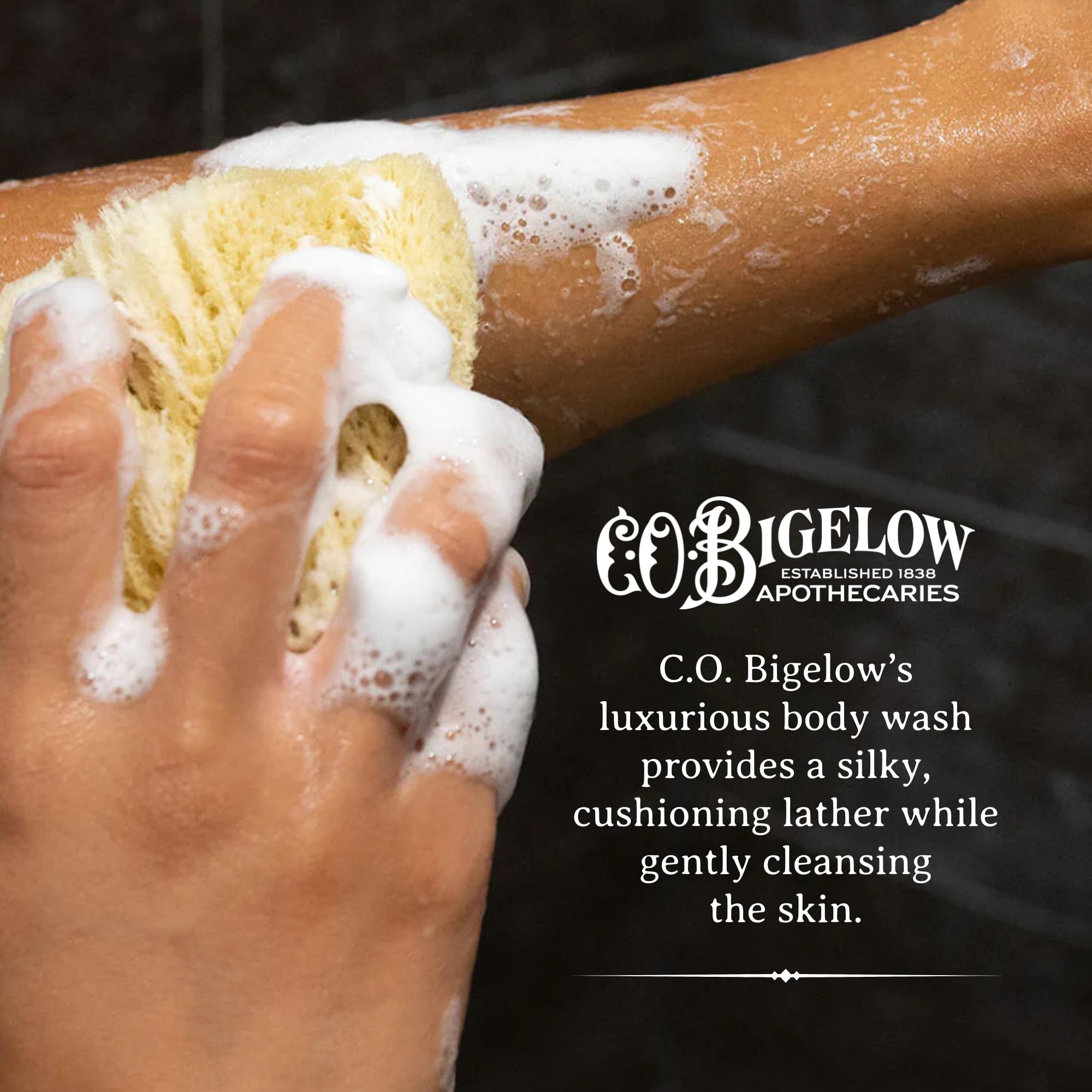 Close-up of coconut oil and aloe vera ingredients labeling, highlighting moisture benefits.