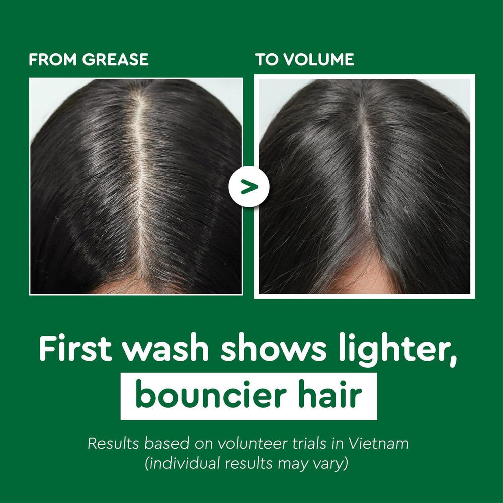 COCAY HOALA VIETNAM wheat protein botanicals closeup highlights nourishing scalp care