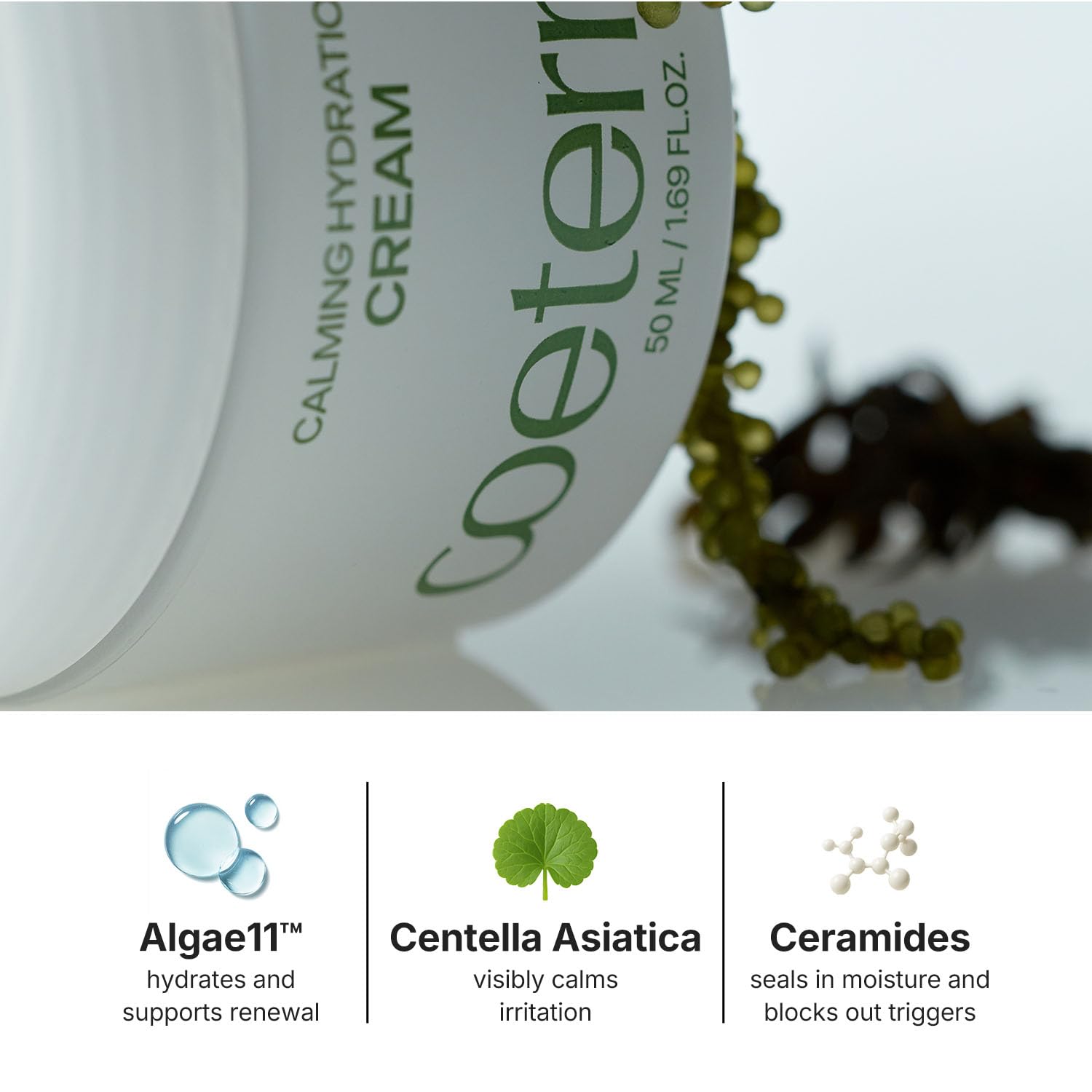 Coeternal Calming Hydration Cream panthenol moisture support close-up