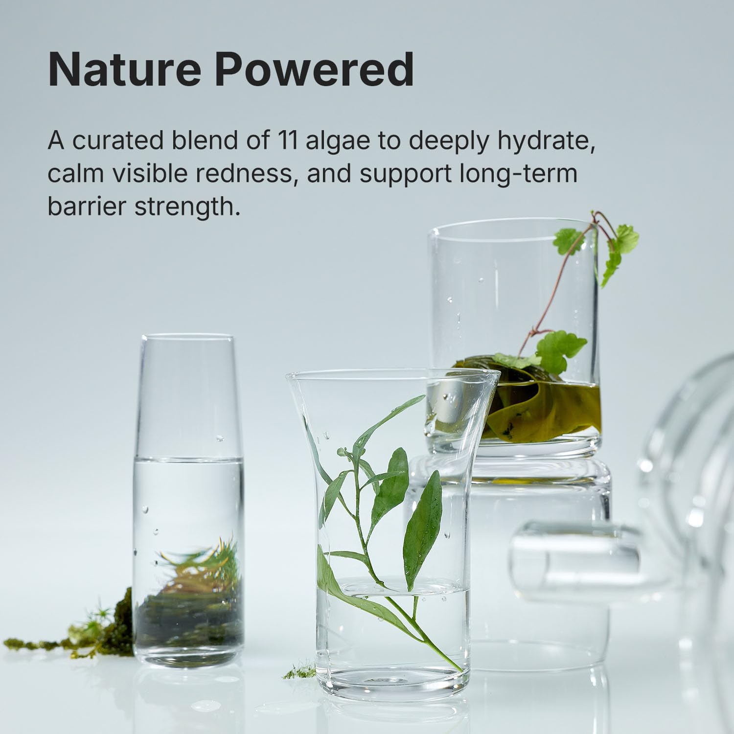 Coeternal Niacinamide Arginine mix image highlights barrier protection and redness calm