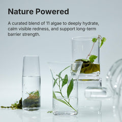 Coeternal Niacinamide Arginine mix image highlights barrier protection and redness calm