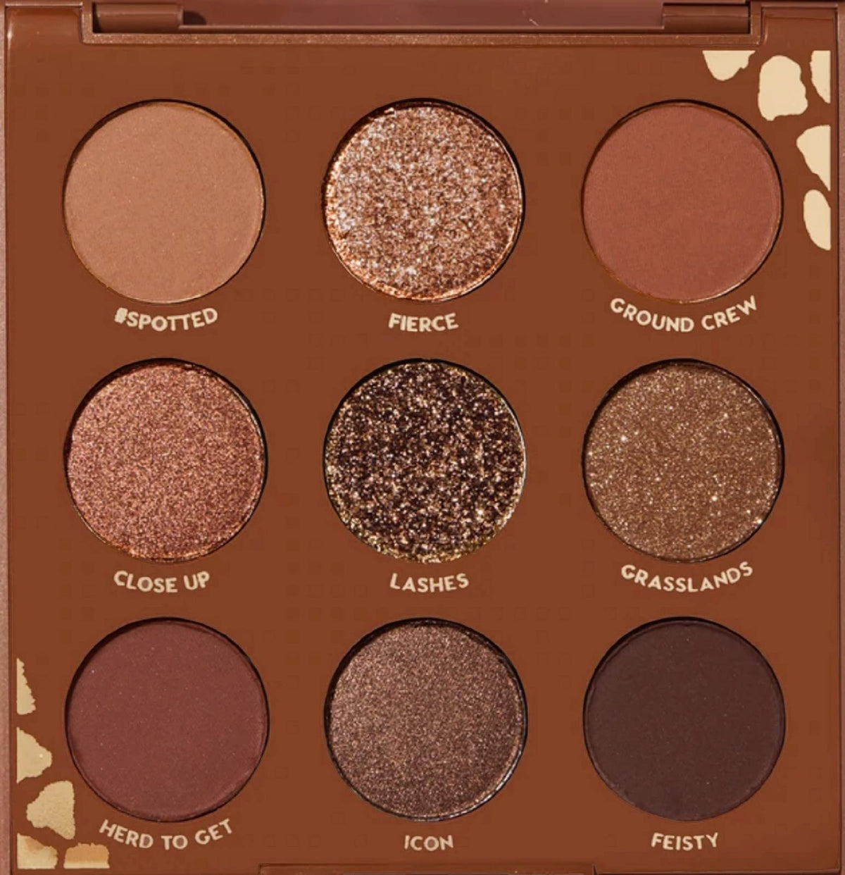 ColourPop Wild Child palette: front view with warm neutrals for daily looks.