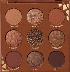 ColourPop Wild Child palette: front view with warm neutrals for daily looks.