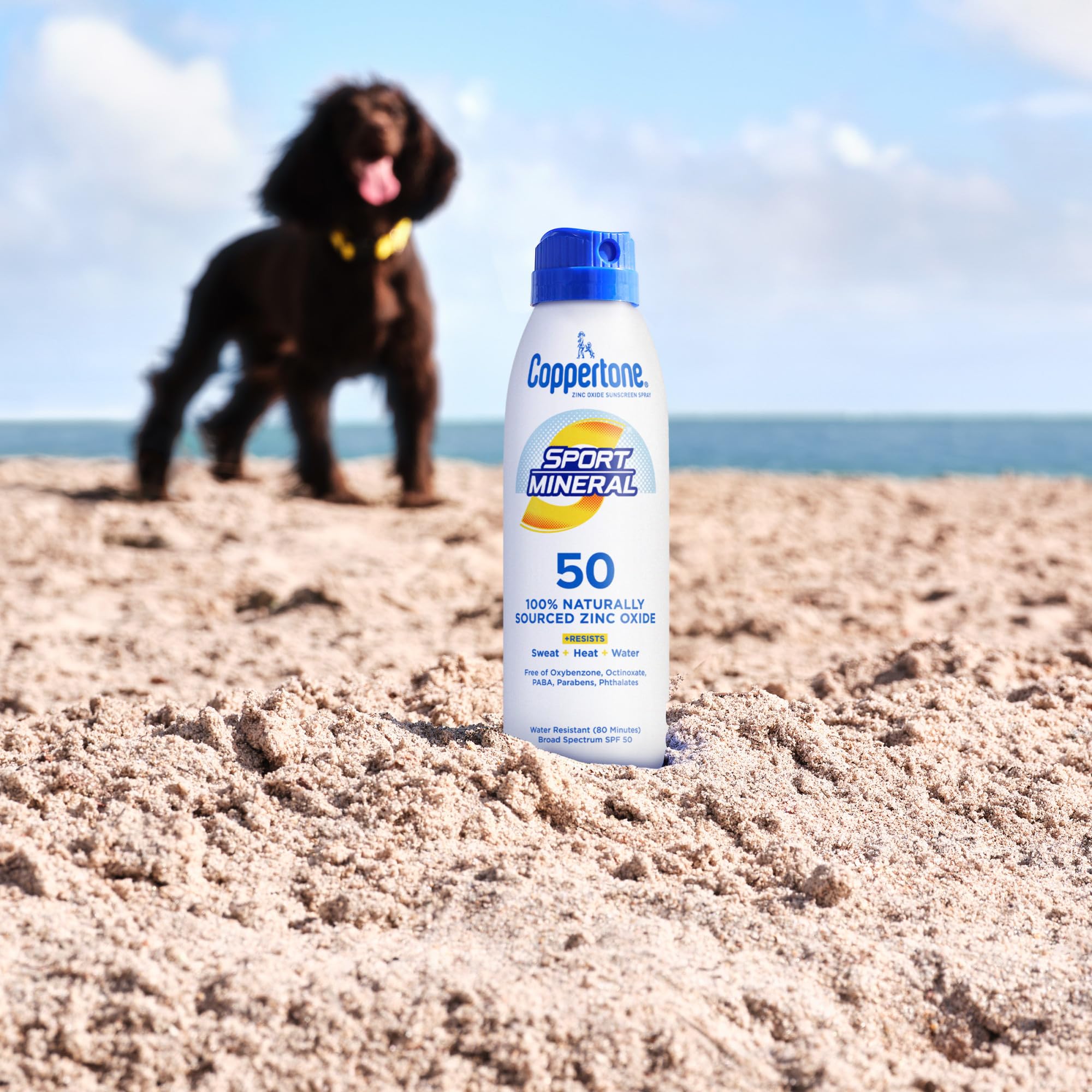 5-ounce bottle fits in gym bag for travel-friendly sun protection.