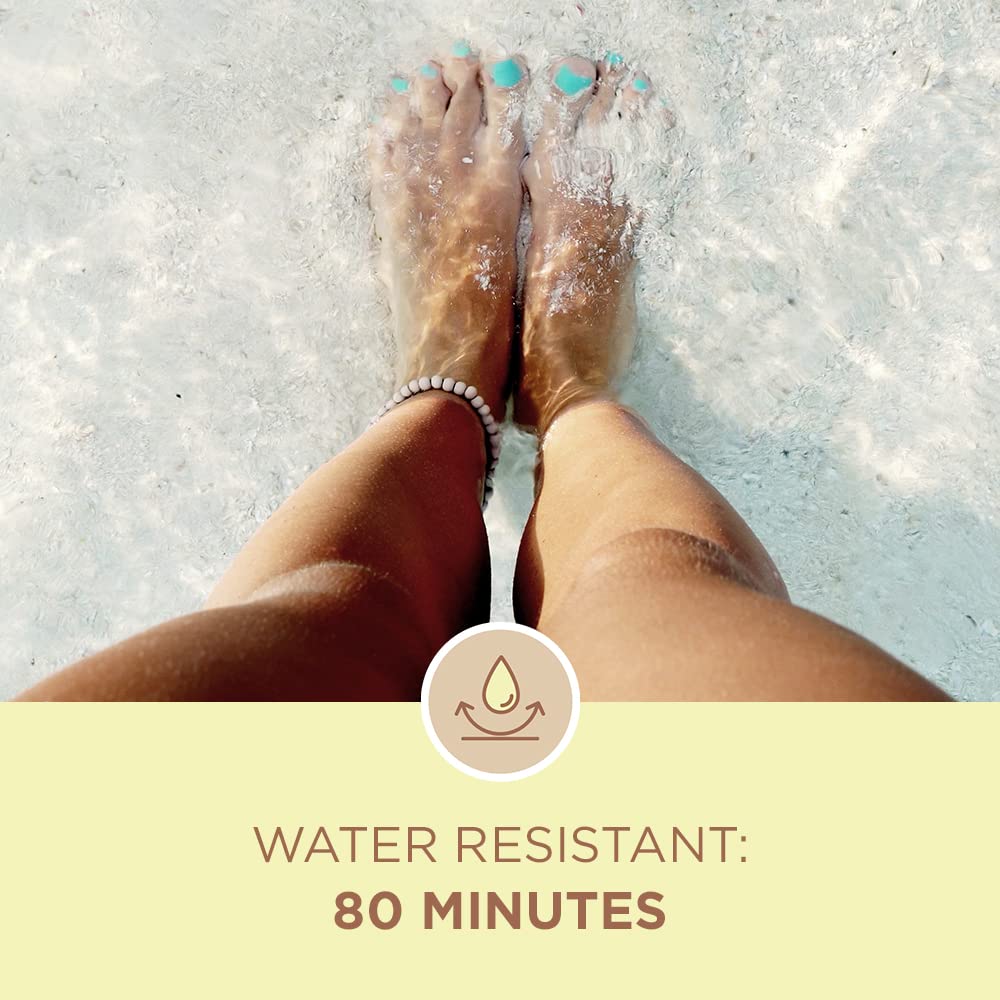 Free from dyes PABA and oxybenzone highlights Coppertone sunscreen clean formula