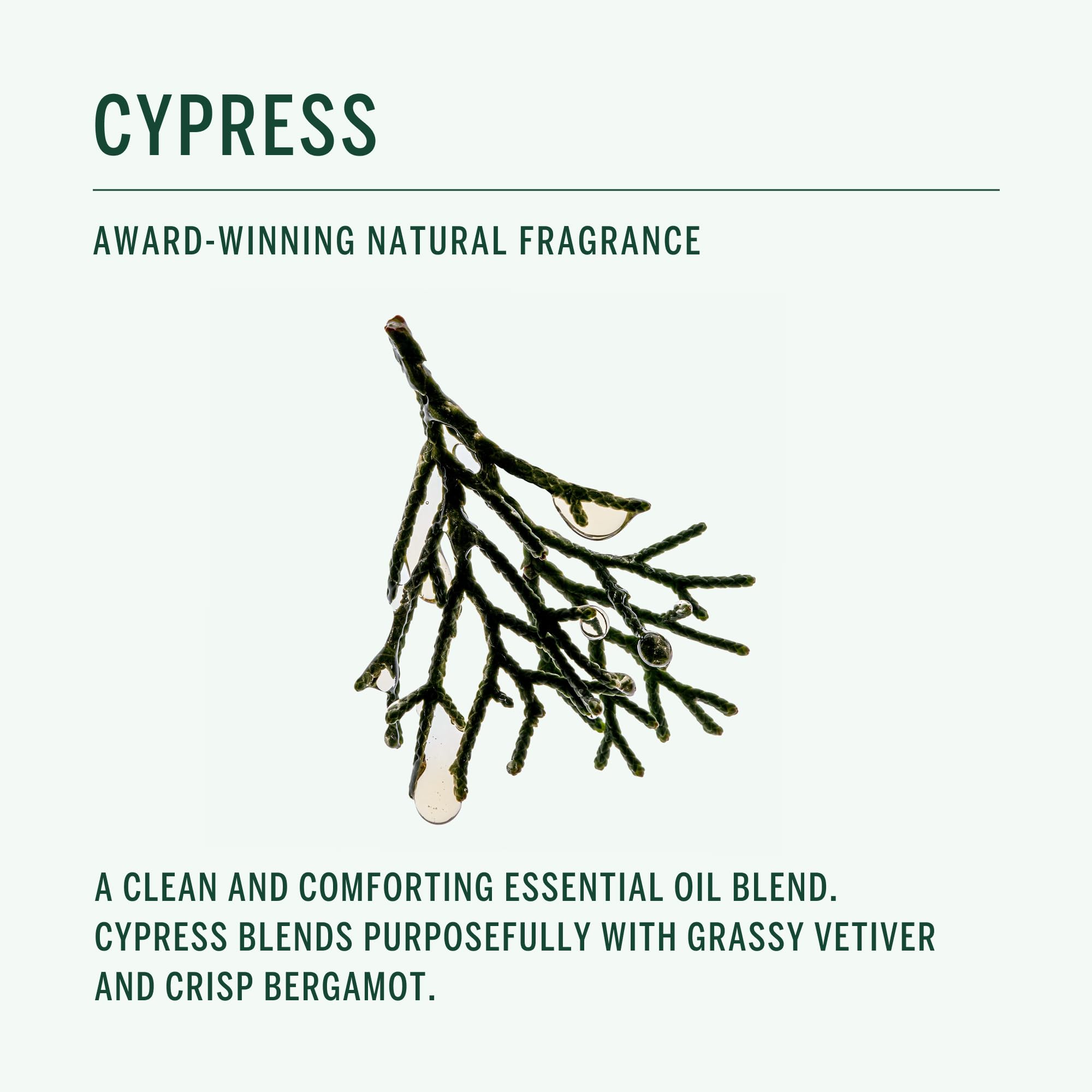 Corpus Cypress Conditioner close-up shows Tremella extract for moisture retention.