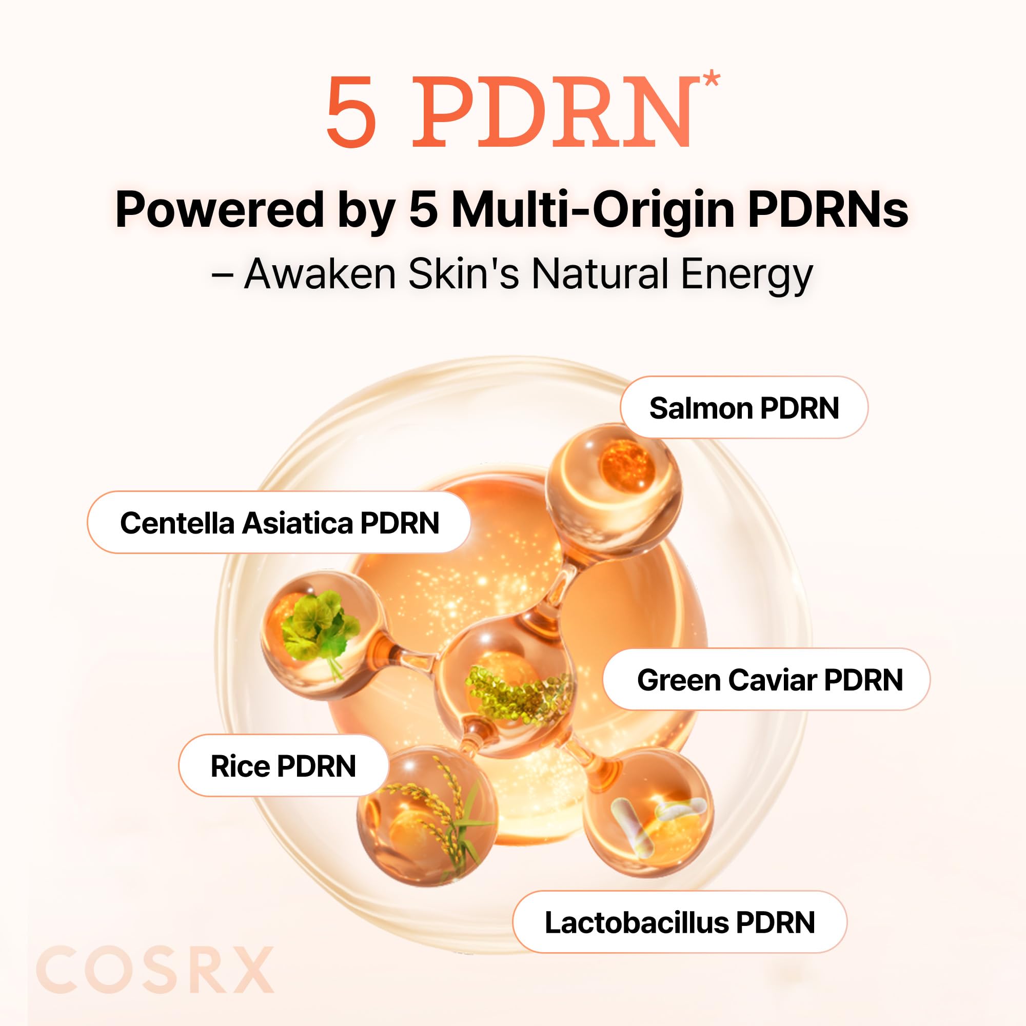 COSRX 5PDRN B5 Toner being massaged into skin for barrier support.