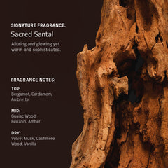 CYKLAR Banana Flower Extract ingredient highlight for gentle nourishment.