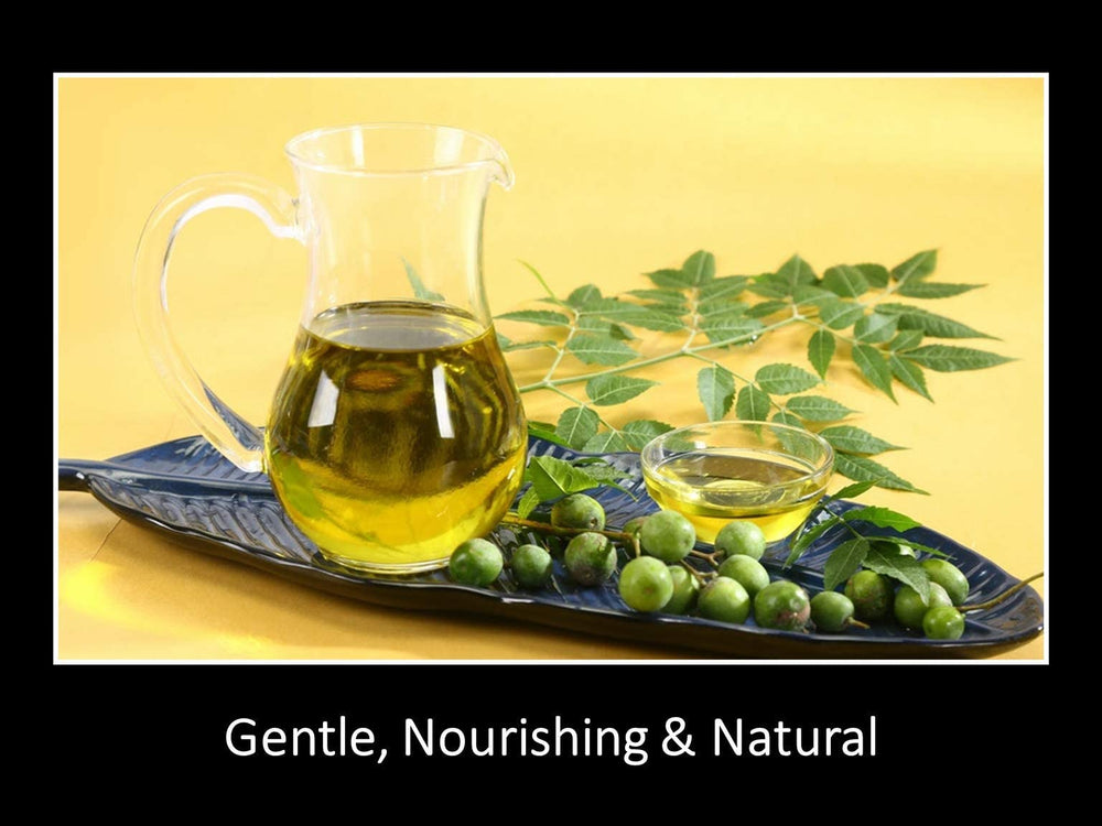 DAANA Neem Oil scalp massage demonstrates conditioning benefits.