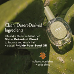 DAE Prickly Pear Hair Oil drop reveals silky shine and lightweight moisture.
