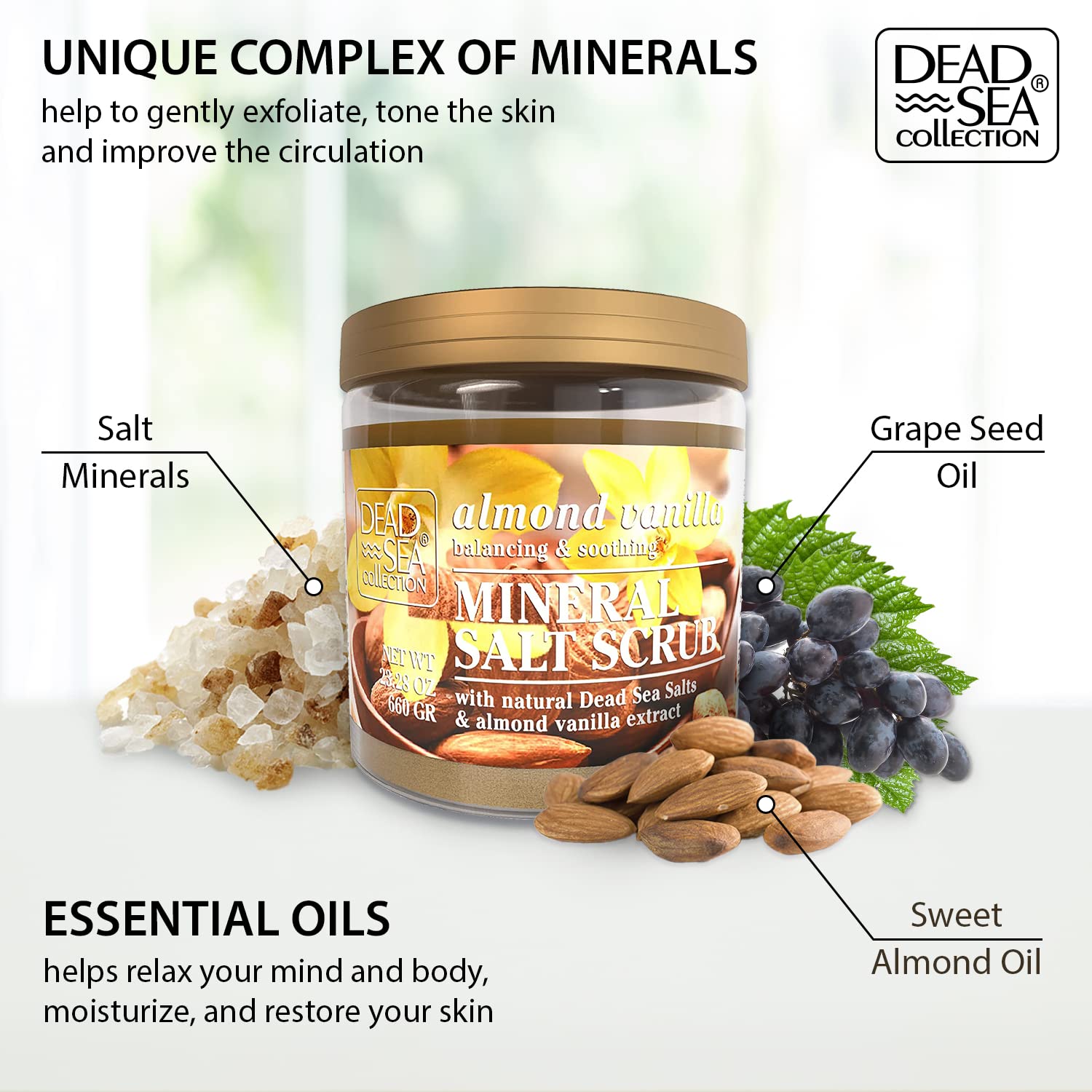 Dead Sea Collection Almond Vanilla Salt Scrub texture highlights exfoliating grains and nourishing oils.