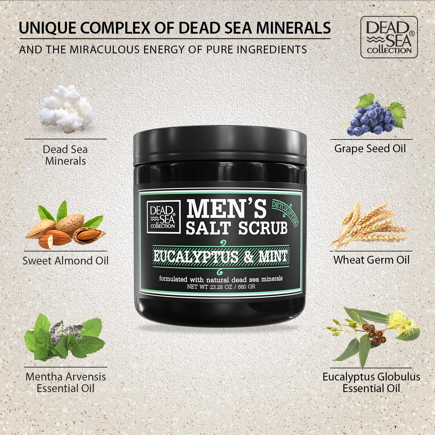 Dead Sea Collection salt body scrub eucalyptus mint packaging showcases value and daily-use convenience.
