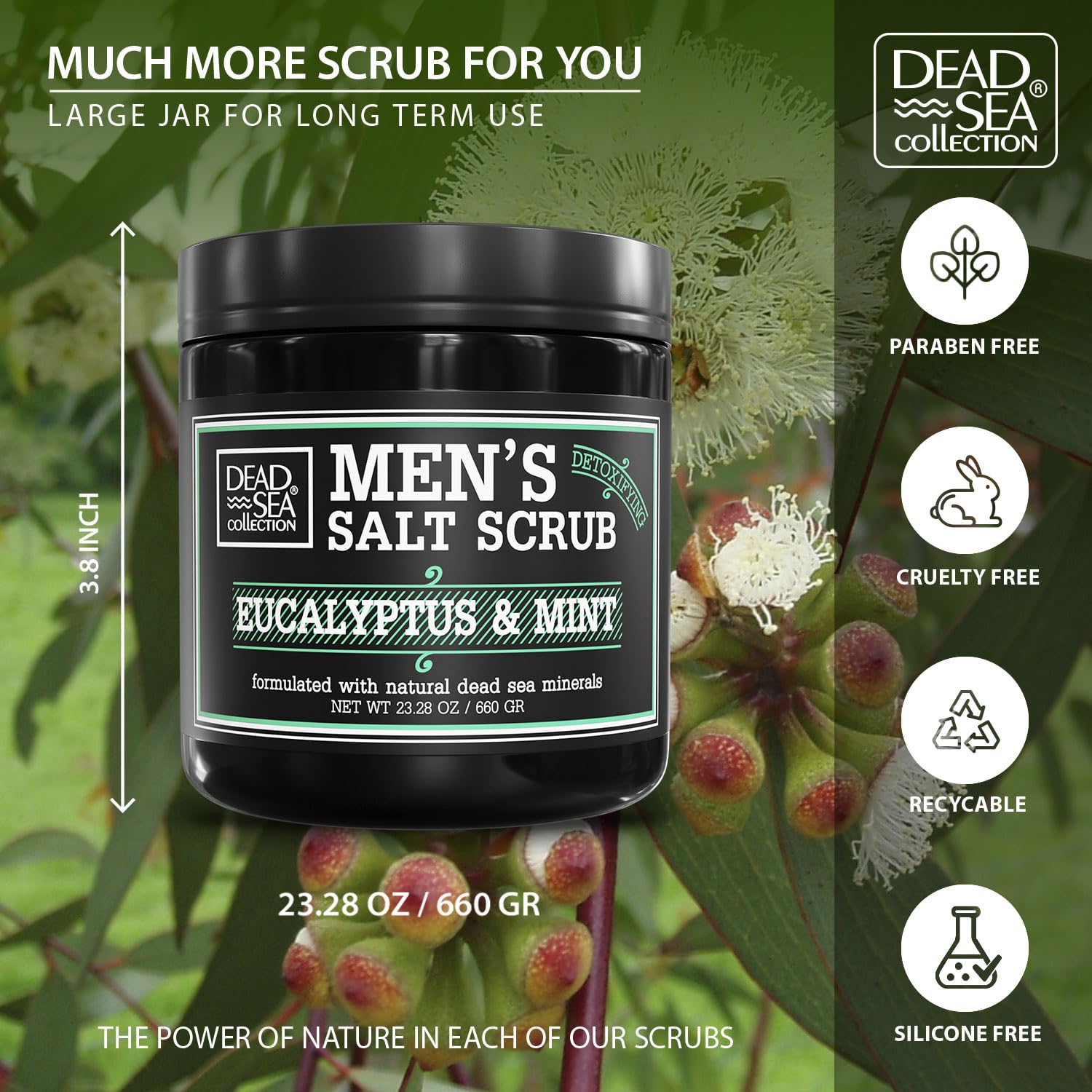Dead Sea Collection salt body scrub eucalyptus mint close-up highlights salt grains for exfoliation.