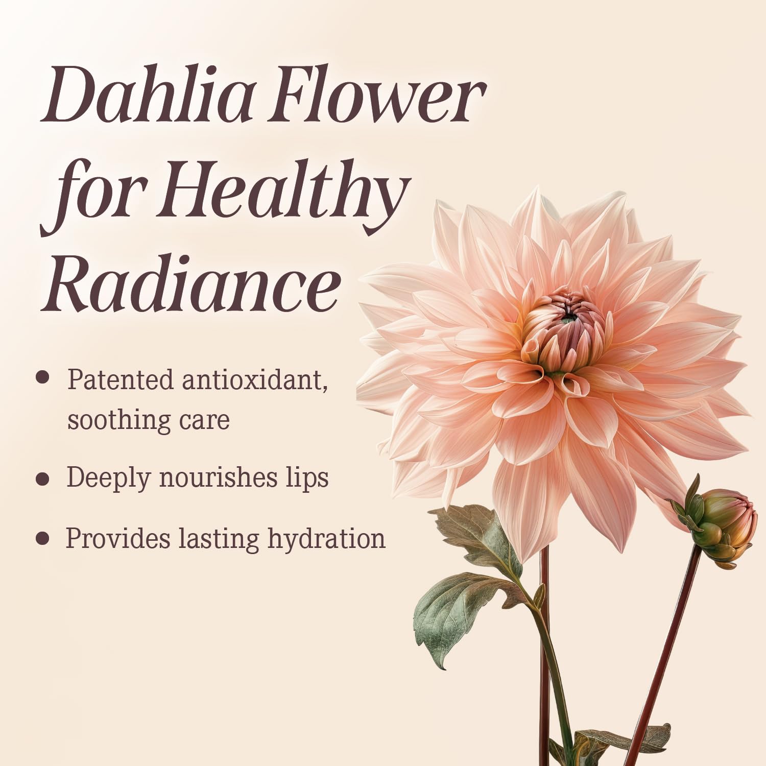 DEARDAHLIA Paradise Aurora Soft Mousse Texture glides on evenly with buildable color.